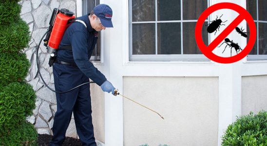 Aksu Hamam Böceği İlaçlama böcek ilaçlama ve haşere kontrolü — ilaclama-tr.com